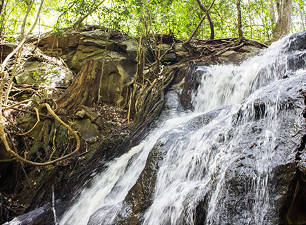 Sportsview Hotel – Nearby Attraction – Karura Forest