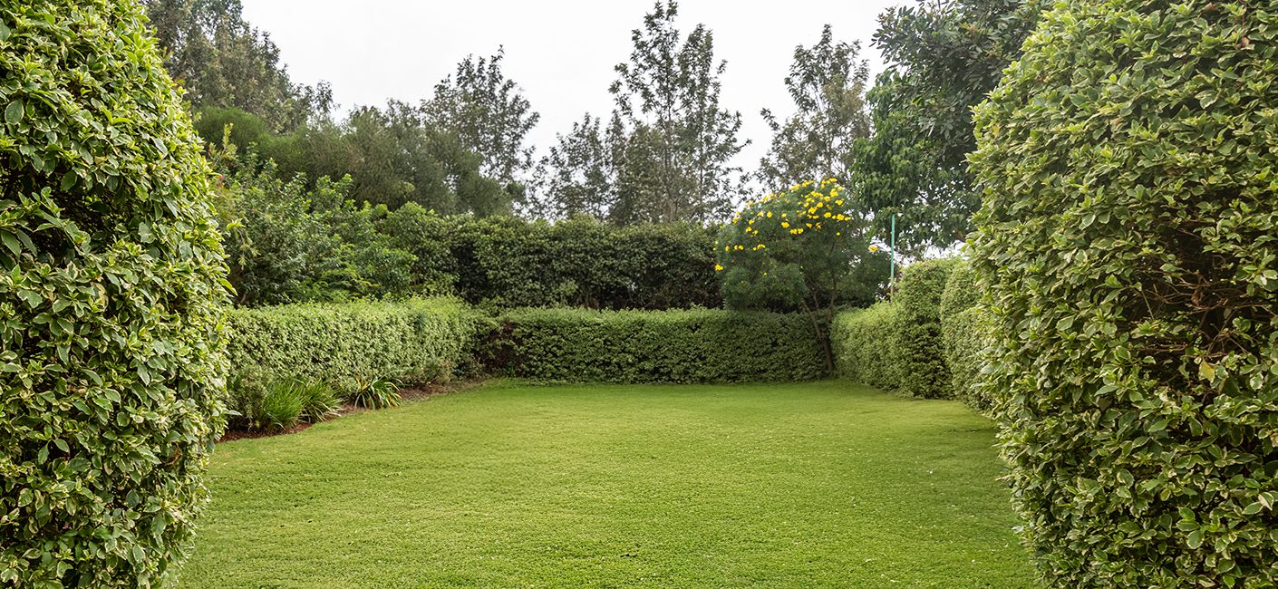 Sportsview Hotel – Scilla Gardens – Outdoor Venue – Large Conference Venue in Nairobi
