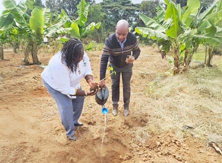 Sportsview Hotel – Tree Planting Day - Planting Activity